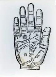 Palmistry